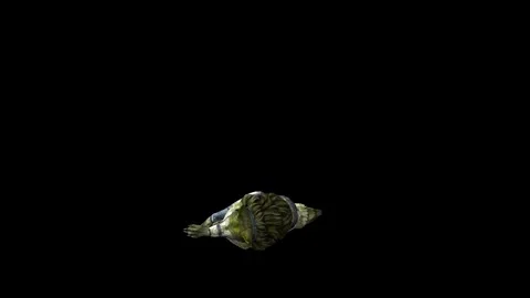 Zombie Wolf KT  down loop black background animation 3D rendering Stock Footage 292473626