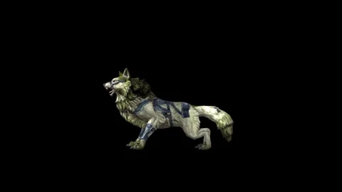 Zombie Wolf KT  down out  black background animation 3D rendering Stock Footage 292473876