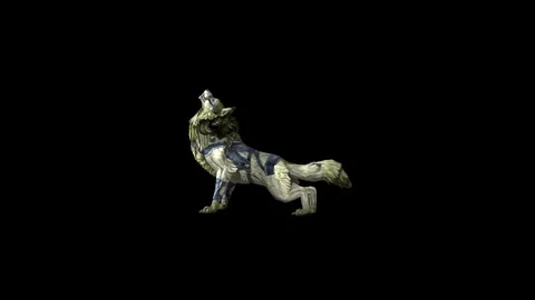 Zombie Wolf KT  howl black background animation 3D rendering Stock Footage 292475201