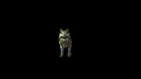 Zombie Wolf KT idle  black background animation 3D rendering Stock Footage 296228312