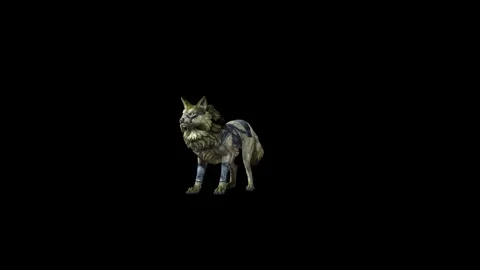 Zombie Wolf KT idle black background animation 3D rendering Stock Footage 296228324