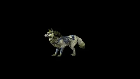 Zombie Wolf KT idle black background animation 3D rendering Stock Footage 296228331