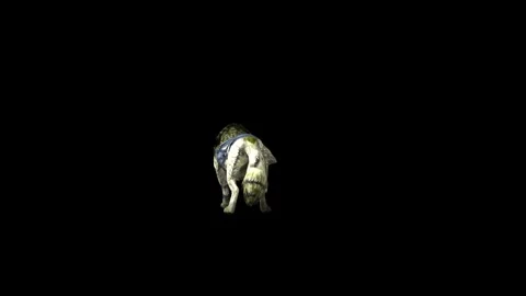 Zombie Wolf KT idle ear scratching  black background animation 3D renderin Stock Footage 296228266