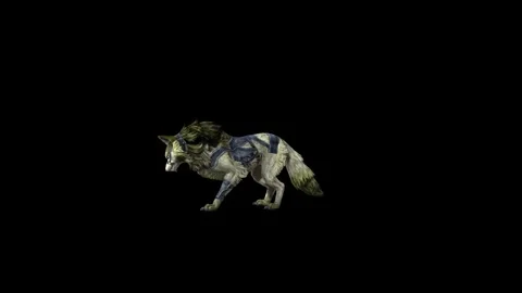 Zombie Wolf KT idle ear scratching  black background animation 3D renderin Stock Footage 296228268