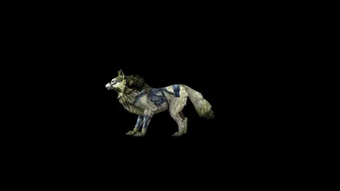 Zombie Wolf KT idle look black background animation 3D rendering Stock Footage 296227871
