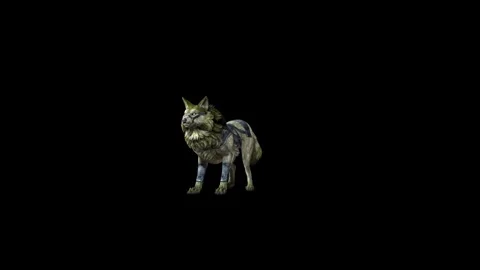 Zombie Wolf KT idle look  black background animation 3D rendering Stock Footage 296228063