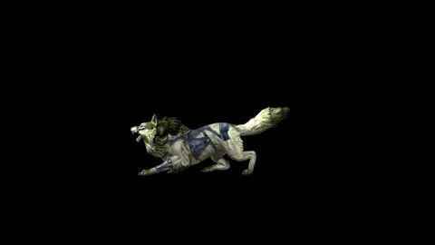 Zombie Wolf KT idle roar  black background animation 3D rendering Stock Footage 296228239