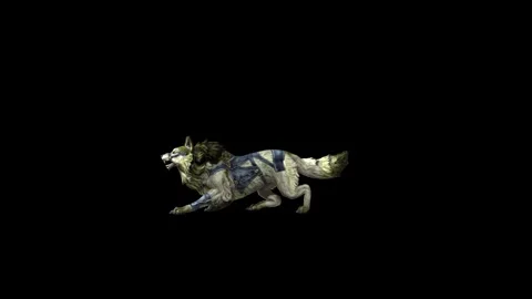 Zombie Wolf KT  jump around black background animation 3D rendering Stock Footage 292475462
