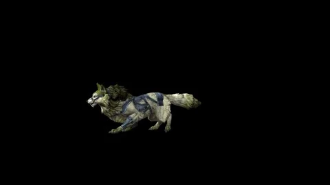 Zombie Wolf KT  roar  black background animation 3D rendering Stock Footage 292477129