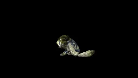 Zombie Wolf KT sit  ear scratching black background animation 3D renderin Stock Footage 296227550