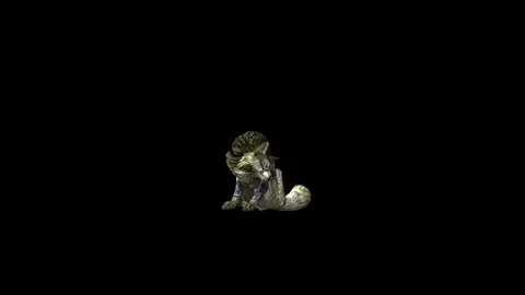 Zombie Wolf KT sit  ear scratching  black background animation 3D renderin Stock Footage 296227872