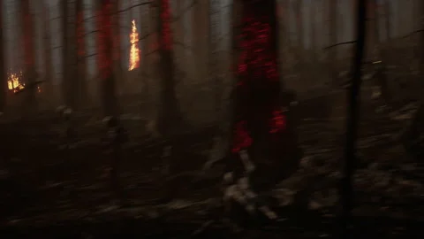 Zombies are walking in the midst of shooting combat 01 Stock Footage 232358639