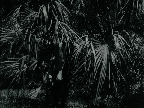 Zombies walking through jungle at night, 1970s Vídeos de archivo 90728192
