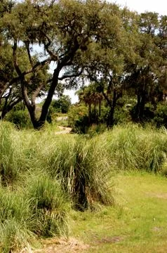 Zoo amazon Stock Photos