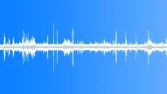 Zoo Ambience, Birds Singing, People Talking, Children, Loop Sound Effect