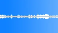 Zoo Ambience, People Talking, Children, Medium-Busy, Loop V2 Sound Effect