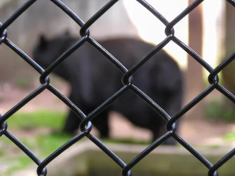 Zoo cage Stock Photos