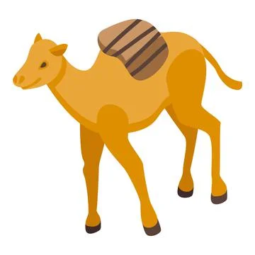 Zoo camel icon, isometric style Stock Illustration