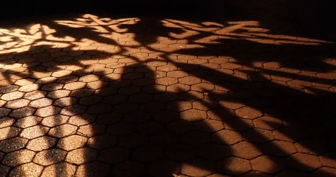 Zoo Christmas Lights Snowflake projected on the pavement with people walking by Stock Footage 121490853