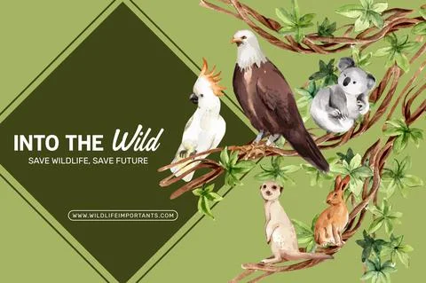 Zoo frame design with eagle, rabbit, meerkat watercolor illustration. Stock Illustration