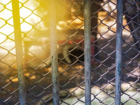 The zoo is hell for animals Stock Photos