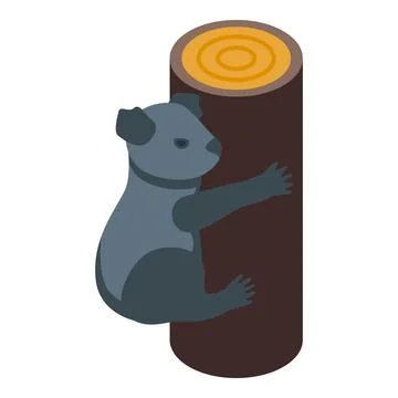 Zoo koala icon isometric vector. Cute bear Stock Illustration