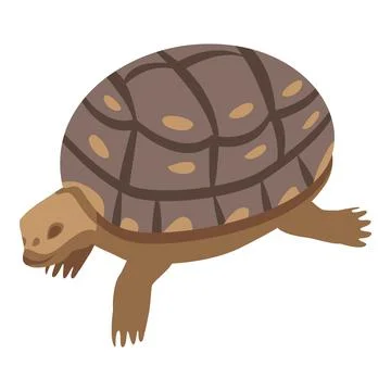 Zoo old turtle icon, isometric style Stock Illustration