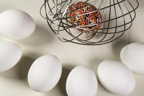 The Zoo Stock Photos