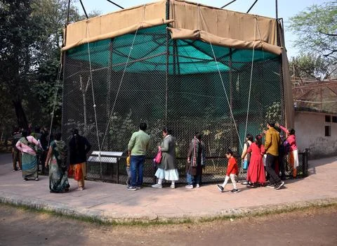 Zoo visitors Stock Photos