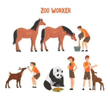 Zoo Workers Feeding and Caring of Animals, Professional Zookeepers Characters Stock-Illustration