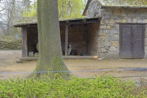 Zoo in Wroclaw Stock Photos