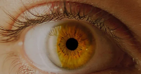 Zooiming in Macro Of Male Eye Moving into Pupil Retina Expands Human Stock Footage