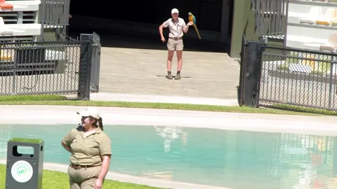 Zookeeper in Khaki Uniform Presenting During Wildlife Arena Show Stockbeeldmateriaal 347635165