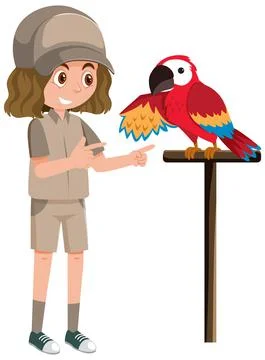 Zookeeper training parrot on stick Stock Illustration