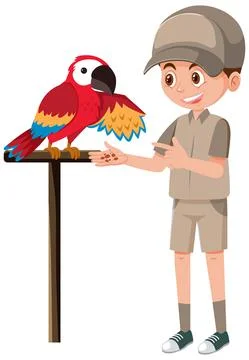 Zookeeper training parrot on the stick Stock Illustration