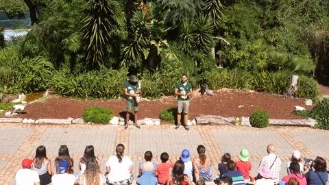 Zookepers give a live lecture with snakes at Lisbon Zoo, Portugal Stock Footage 112761501