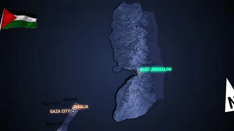 Zoom in to 3d map night of Palestine | Stock Video | Pond5