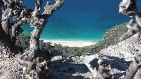 Zoom in Aerial view of Beach with turquoise water through tree branches Stock Footage 333464751