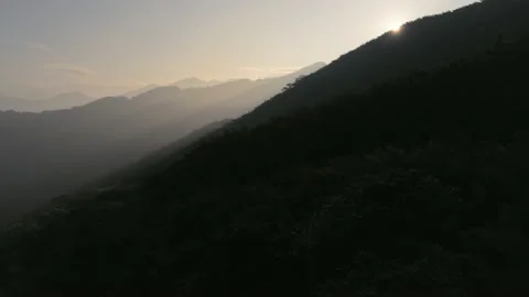 Zoom in and pedestal move down. Aerial drone shot dark silhouettes of trees a Stock Footage 185807628