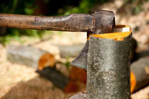 Zoom at axe impaled in alder log Stock Photos