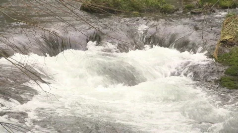Zoom back on forest stream rapids Stock Footage 799233