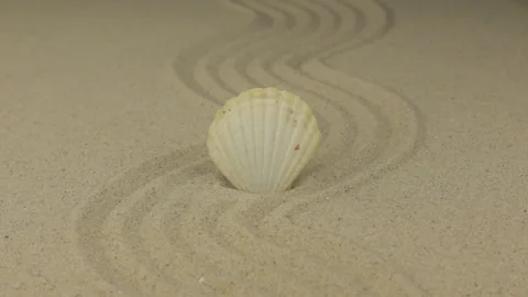 Zoom of a beautiful sea shell lying on a zigzag made of sand. Stock Footage 87252425