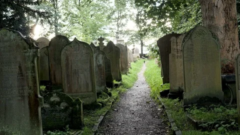 Zoom in-Black cat walks path Cemetery St Michaels All Angels Church- Video stock 96653070
