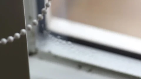 Zoom in the black mold growing in window corner. Humidity in the house.  Stock Footage 122593272