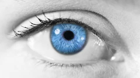 Zoom in from a blue human eye to a circuit board animation. Gray skin. 스톡 동영상 54846654