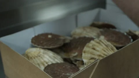 Zoom into a box full of scallops in the kitchen  스톡 동영상 163317885