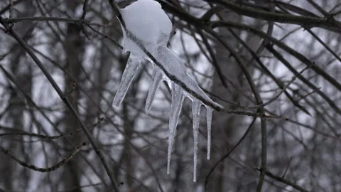 Zoom in of A branch covered in ice Vidéo 327024817