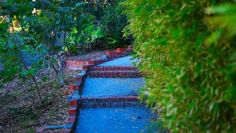 Zoom into Brick Walkway Stock Footage 85493255