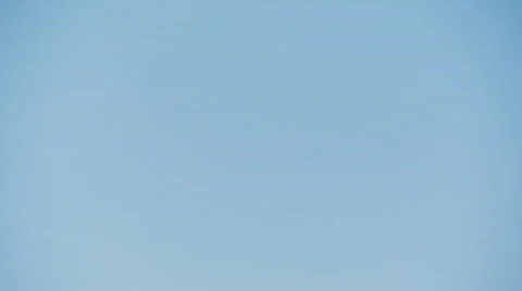 Zoom central park Stock Footage 272138