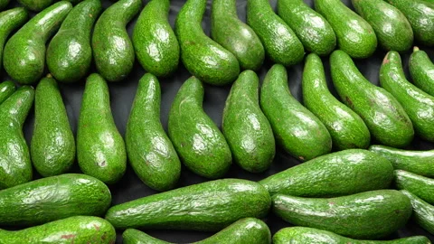 Zoom In Close Up of Fresh Long Green Avocados on Dark Fabric Background Stock Footage 336493750